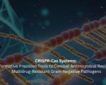 CRISPR-Cas Systems: Transformative Precision Tools to Combat Antimicrobial Resistance in Multidrug-Resistant Gram-Negative Pathogens