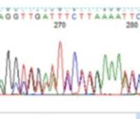 Identification of Novel Frameshift Variant in PUS1Gene by Whole Exome Sequencing