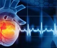 Impact of Dyselectrolytemia on Heart Failure and their Long-Term Cardiovascular Outcomes: A Comparative Analysis