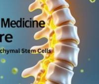 Regenerative Medicine in Spine Care: Clinical Potential of Mesenchymal Stem Cells for Chronic Low Back Pain
