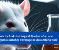 Toxicity And Histological Studies of a Local Indigenous Alcohol Beverage in Male Albino Rats