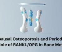 Postmenopausal Osteoporosis and Periodontal Disease: The Role of RANKL/OPG in Bone Metabolism