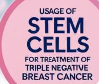 Usage of Stem Cells for Treatment of Triple Negative Breast Cancer  
