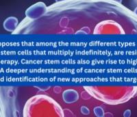 Cancer stem cell (CSC) theory | Submission Open