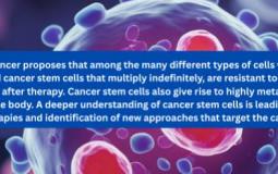 Cancer stem cell (CSC) theory | Submission Open