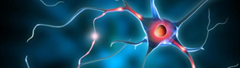 Neural Stem cells: Several Methodology in Regenerative Medicine to Cure  Brain Injury